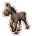 tn_horse_with_halter_trotting_md_clr.gif